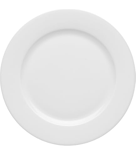 Amazon.com | Pillivuyt Eventail Collection Dinner Coupe Plate 11